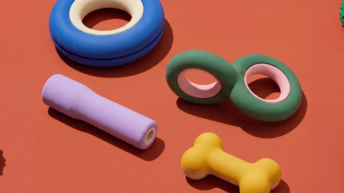 Choosing Toys Your Dog Will Actually Play With