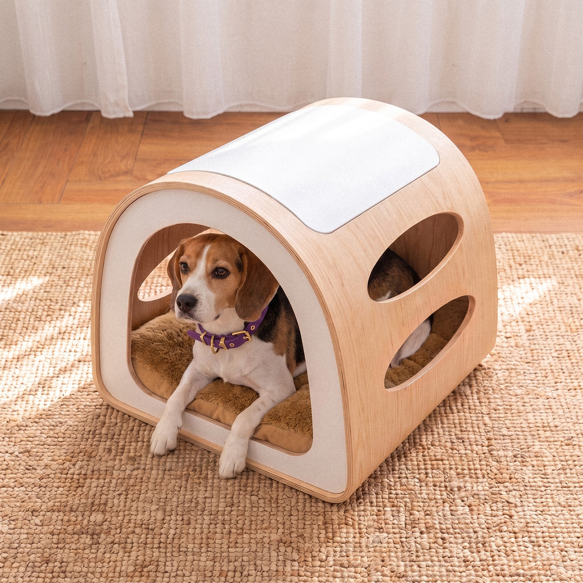 Modern Pet House