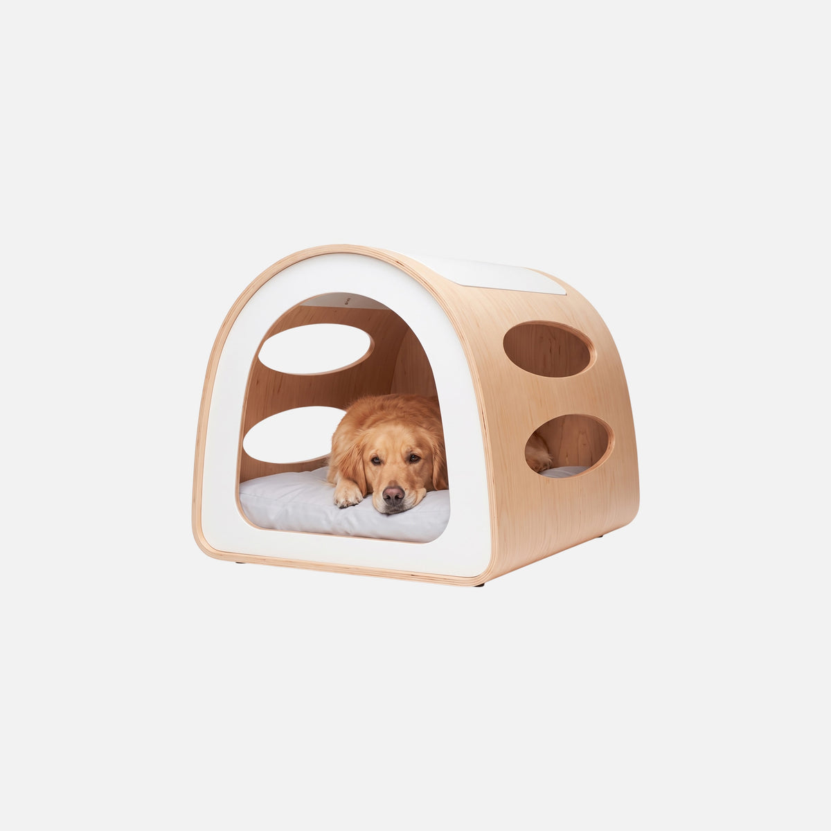 Modern Pet House