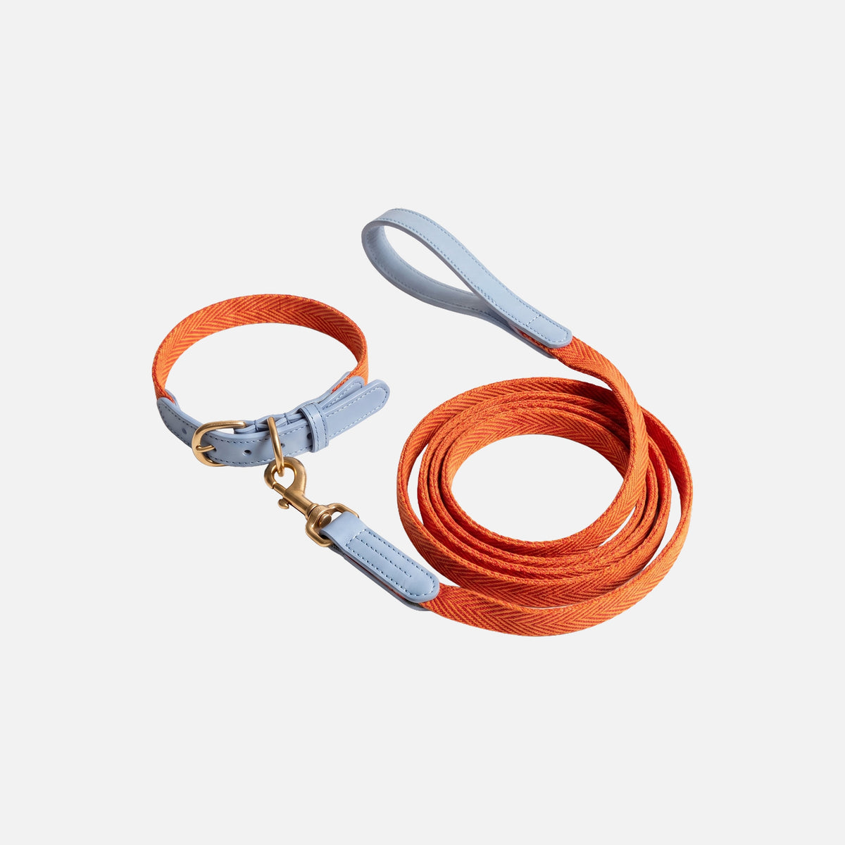 Classic Walk Collar & Lead Set