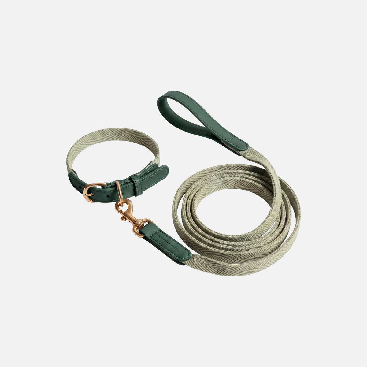 Classic Walk Collar & Lead Set