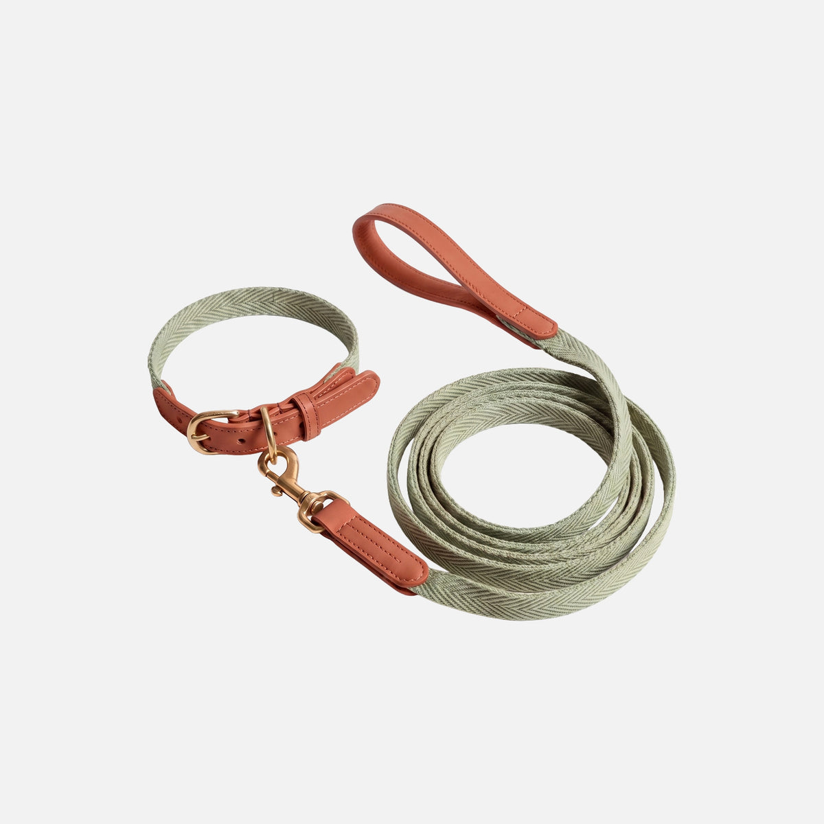 Classic Walk Collar & Lead Set