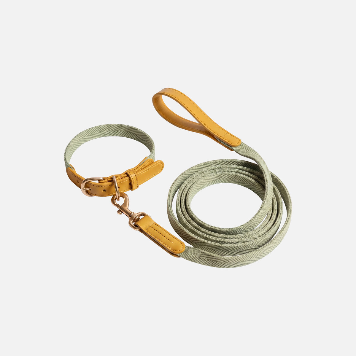 Classic Walk Collar & Lead Set