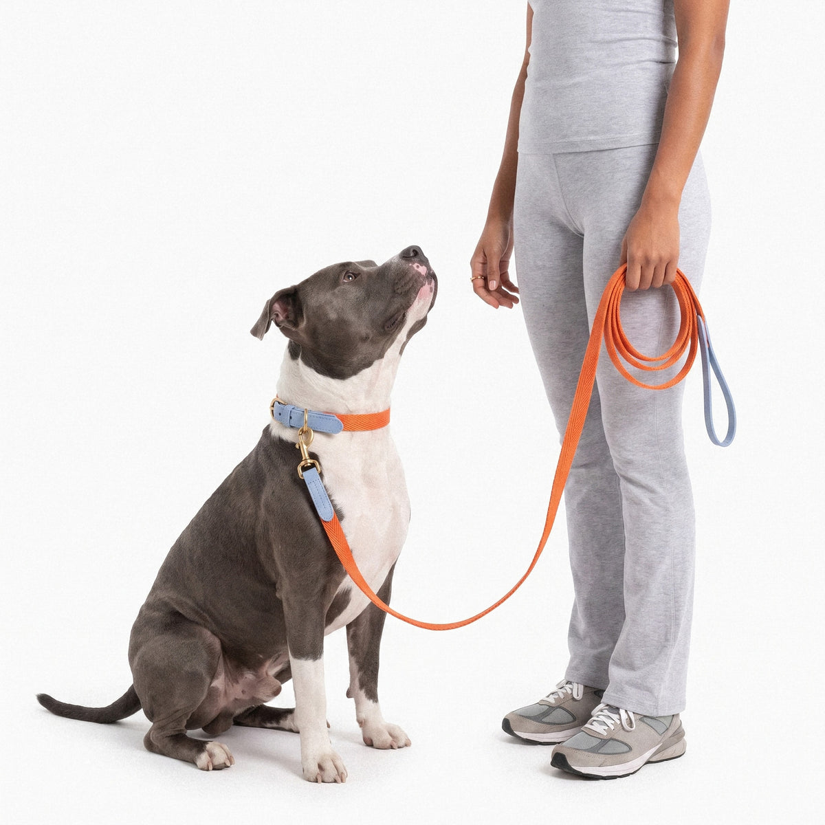 Classic Walk Collar & Lead Set