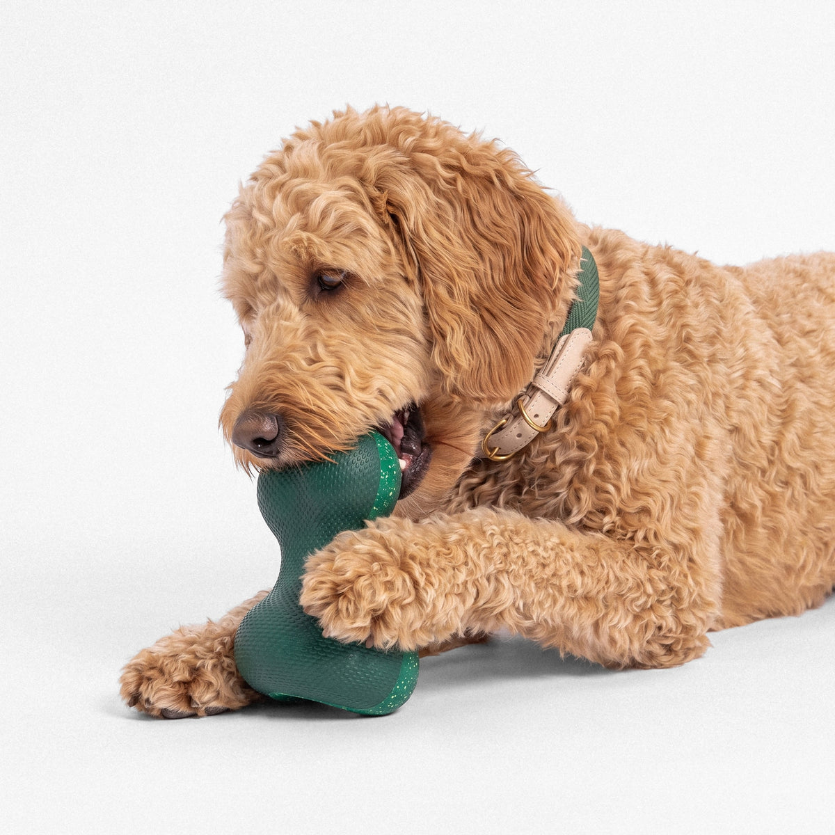 Classic Walk Collar & Lead Set