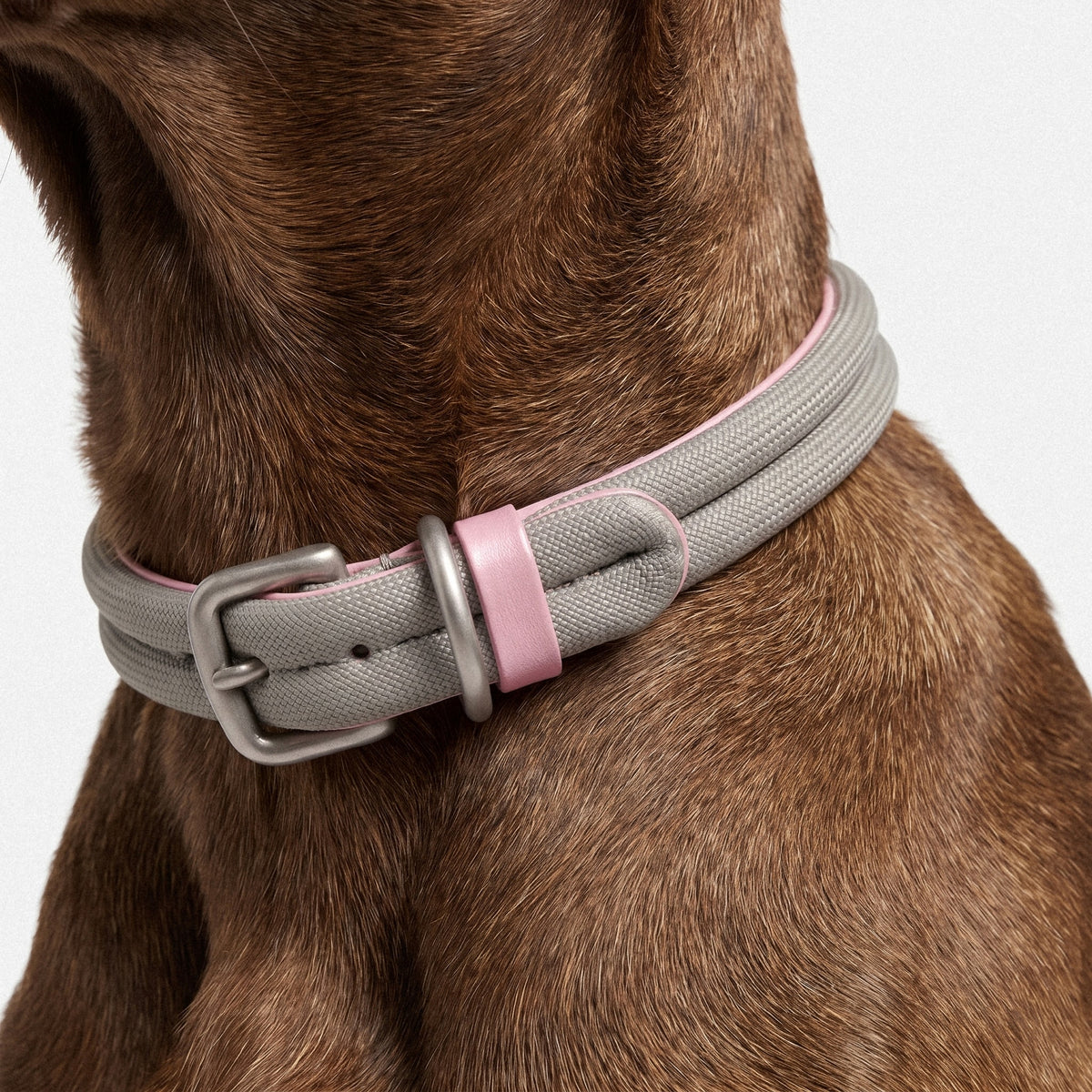 Seil-Abenteuerhalsband und Leinen-Set-thumbmail-2