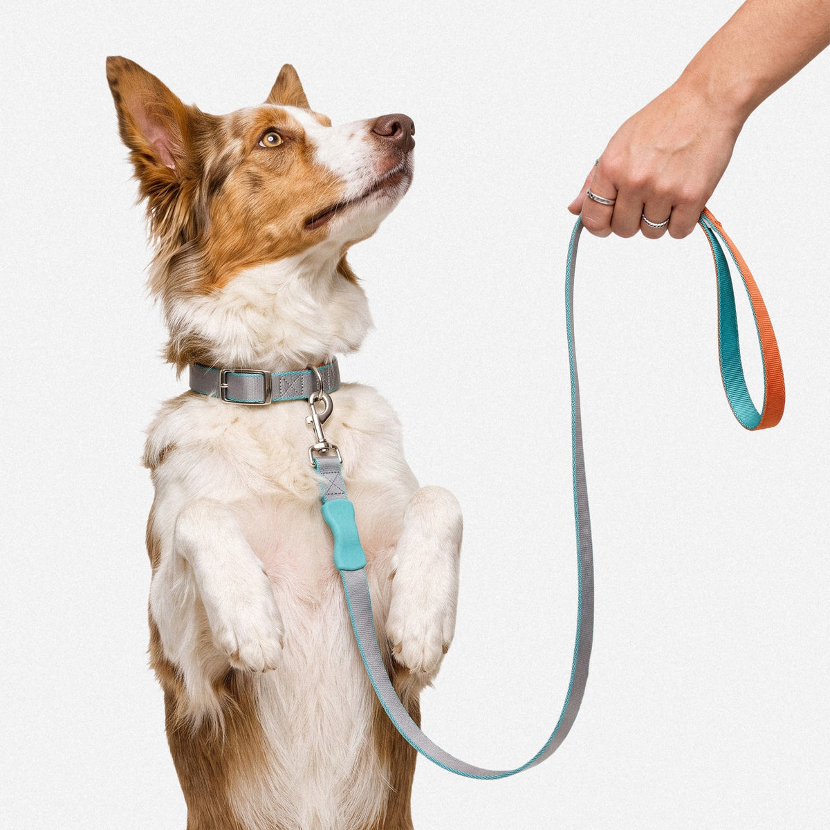 Comfort Grip Training Lead