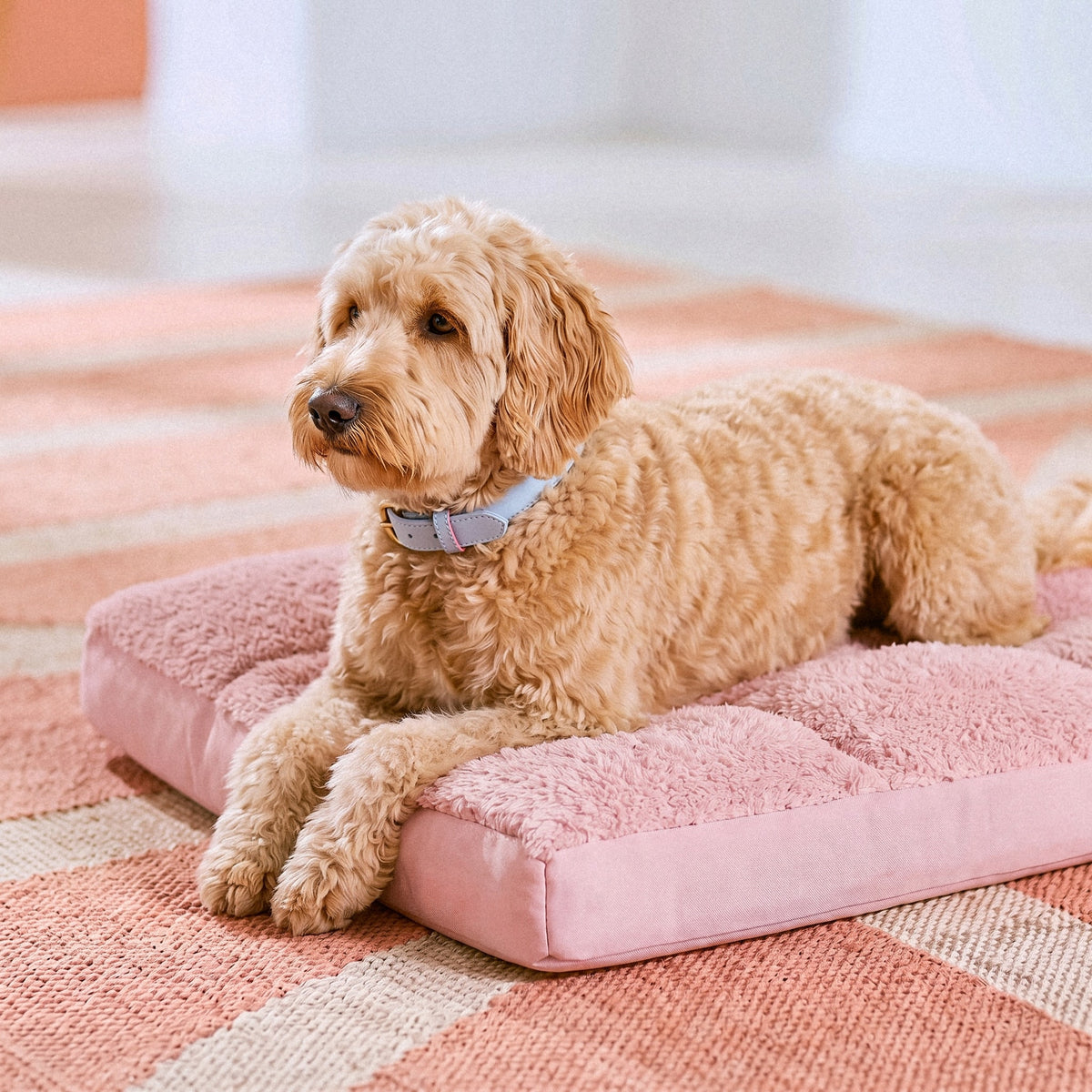 Plush Floor Cushion