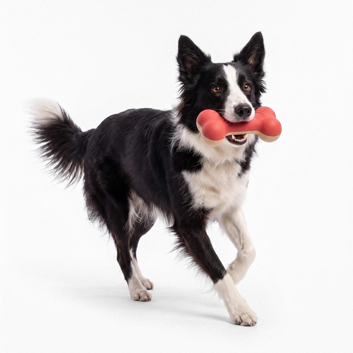 Rubber Chew Toys Set