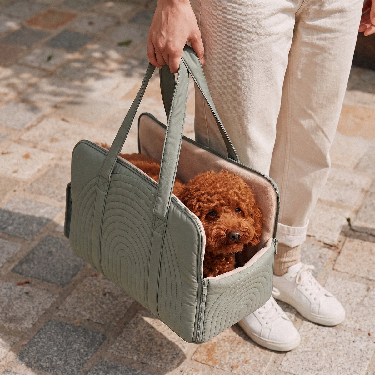 Travel Pet Carrier