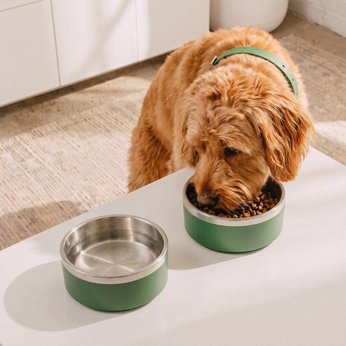 Stainless Steel Pet Bowl