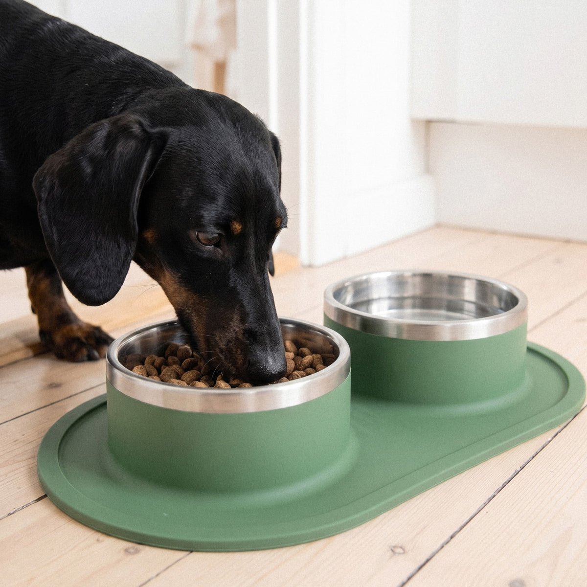 Double Feeding Bowl Set