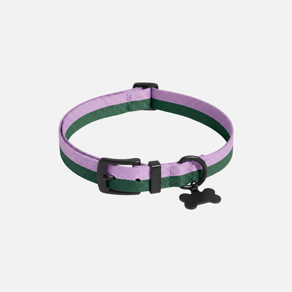 Everyday Webbing Collar