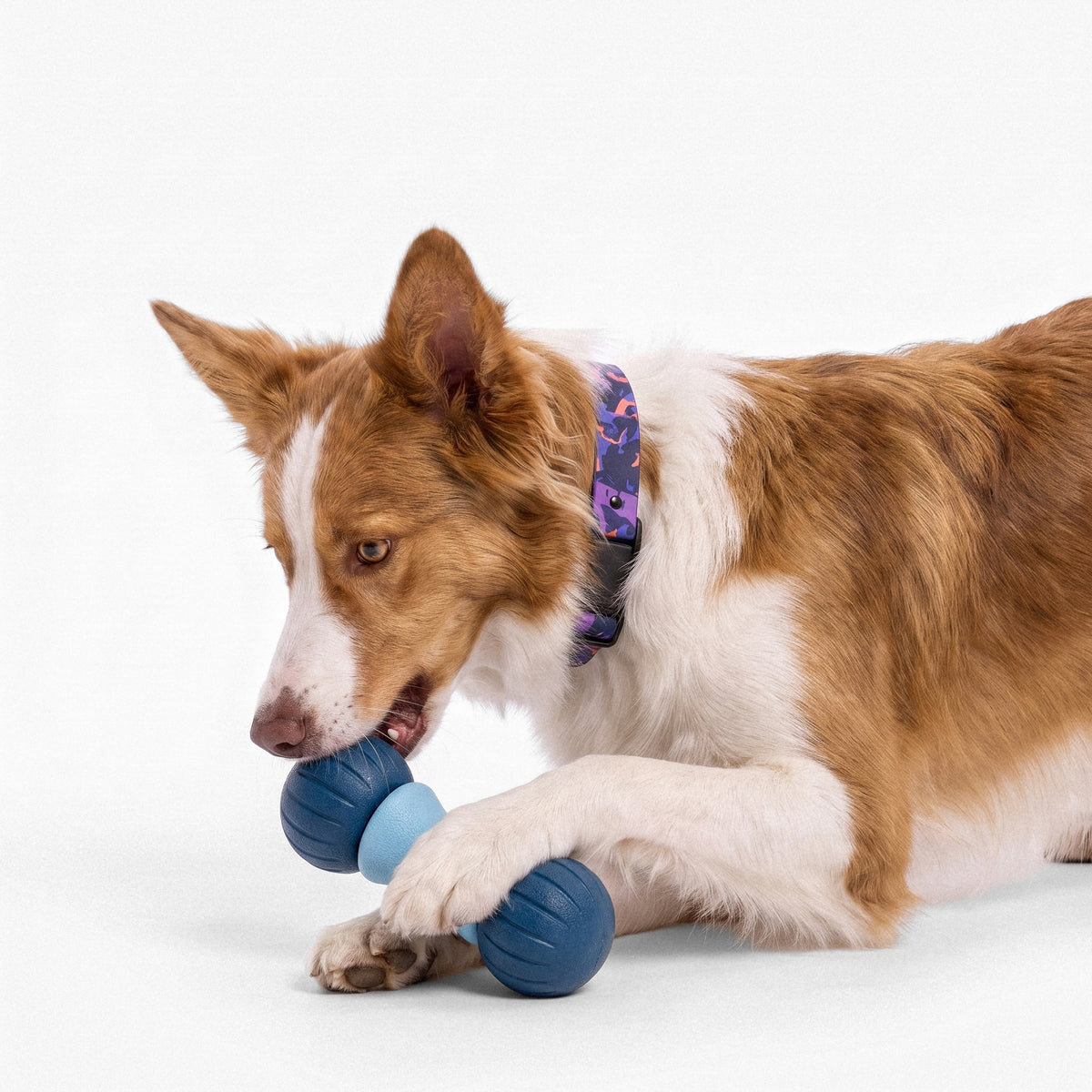 Rubber Dumbbell Toy
