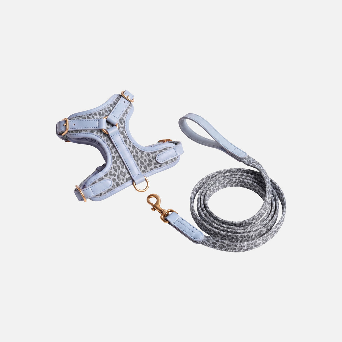 Patterned Harness & Lead Set
