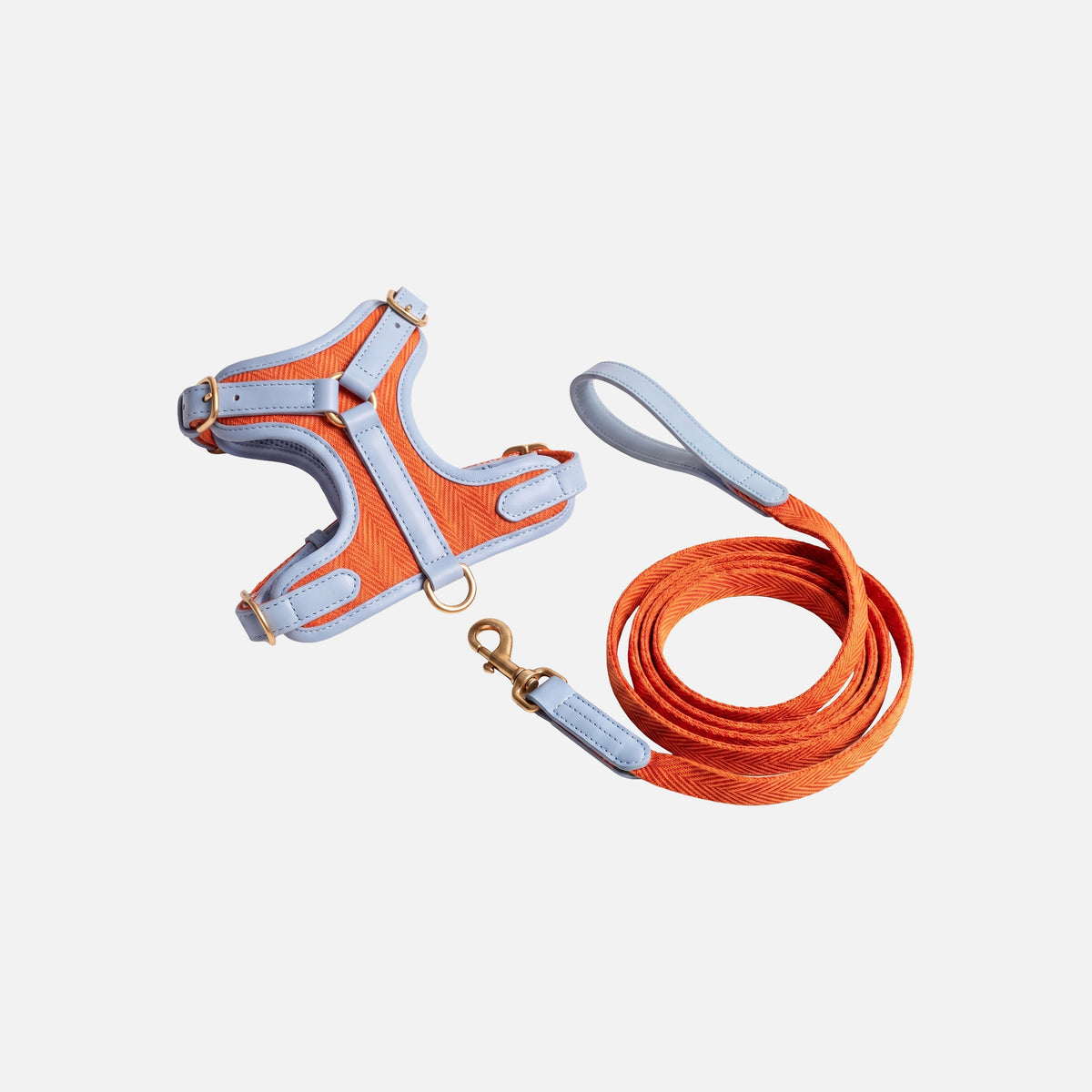 Patterned Harness & Lead Set