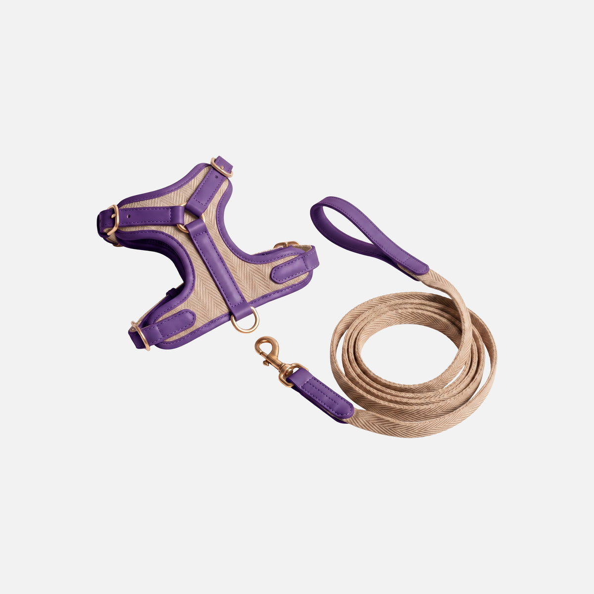 Patterned Harness & Lead Set