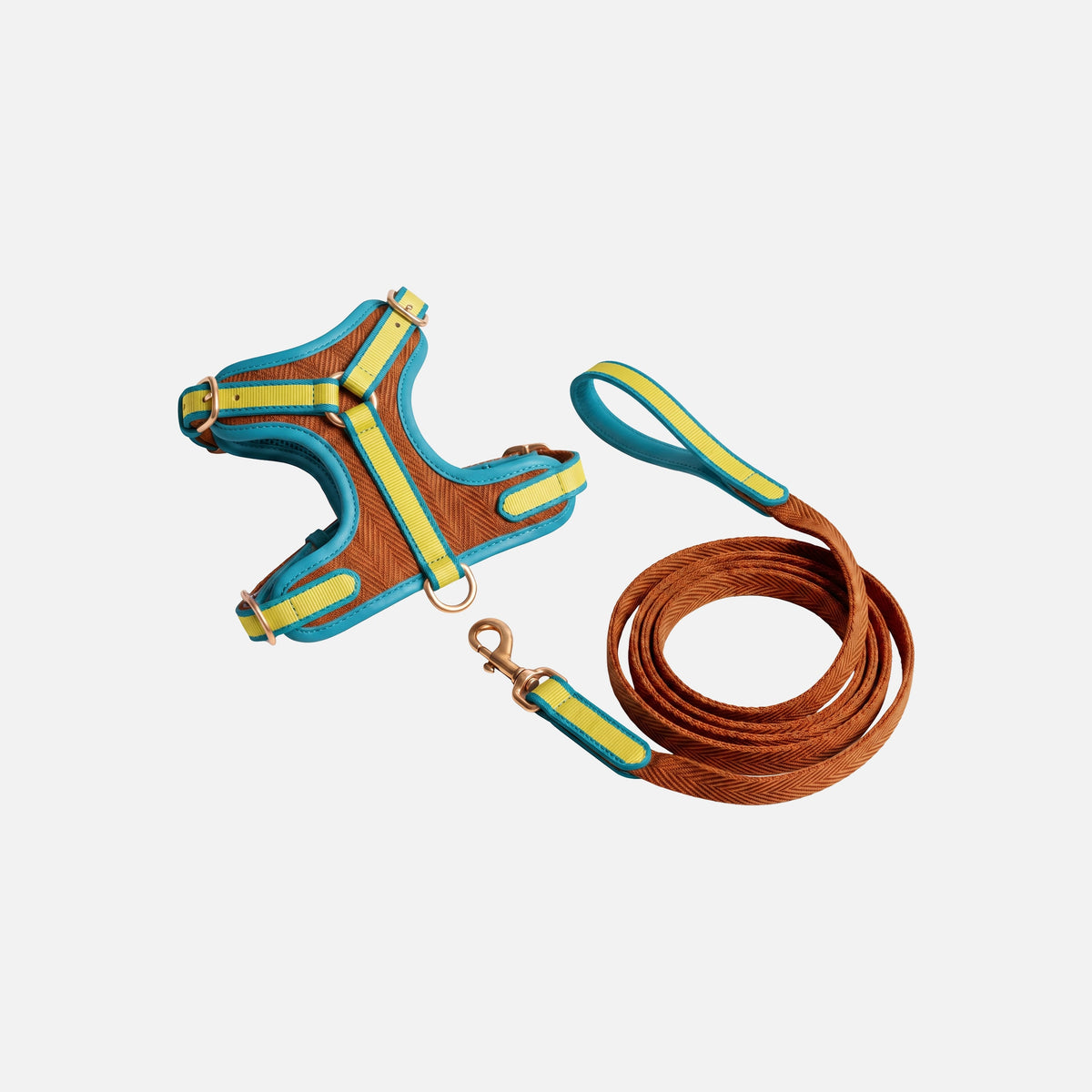 Patterned Harness & Lead Set