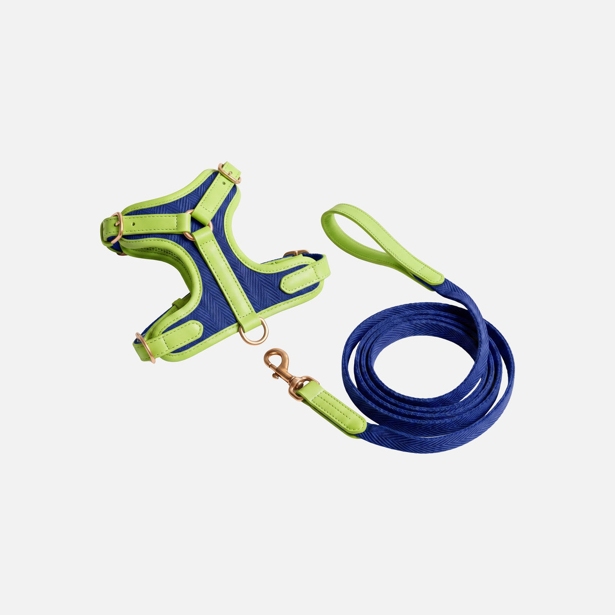 Patterned Harness & Lead Set
