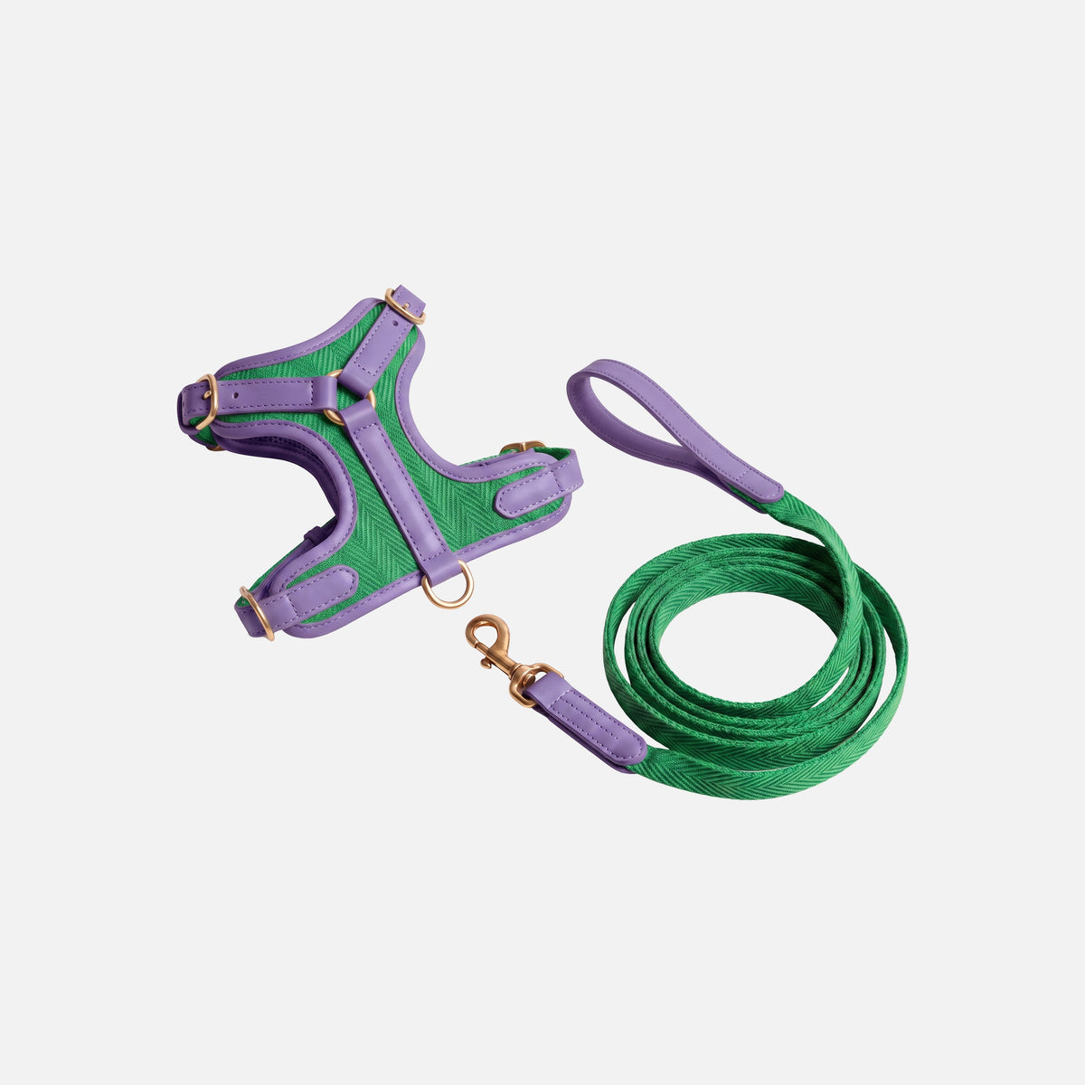 Patterned Harness & Lead Set