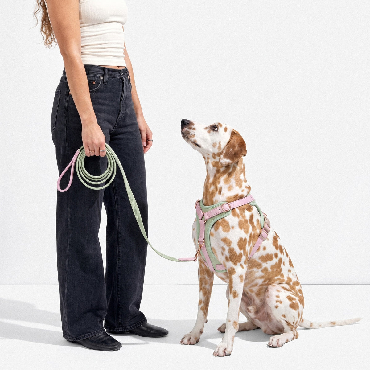 Patterned Harness & Lead Set